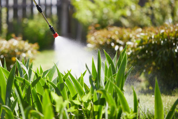 24/7 Emergency Fumigation Services experts in North Hartsville, SC