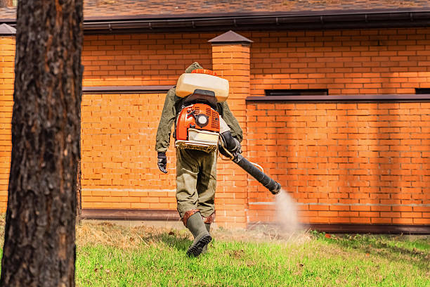 Trusted Bed Bug Control service in North Hartsville, SC - Nex Pest Control